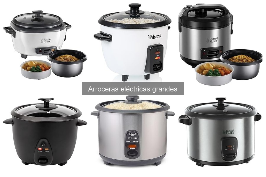 Alternativas a Arroceras Eléctricas Grandes: Mejores Opciones