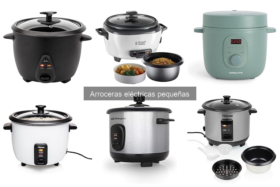 Alternativas a Arroceras Eléctricas Pequeñas: Mejores Opciones