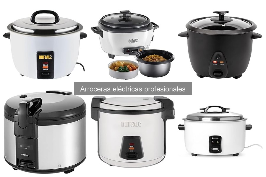 Alternativas a Arroceras Eléctricas Profesionales para Cocinar Arroz