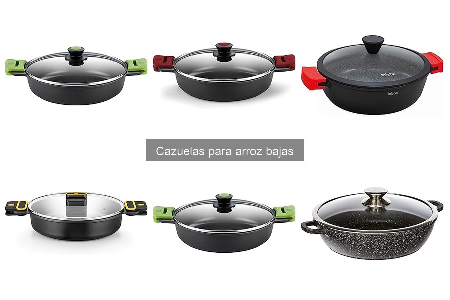 Alternativas a Cazuelas para Arroz Bajas: Mejores Opciones