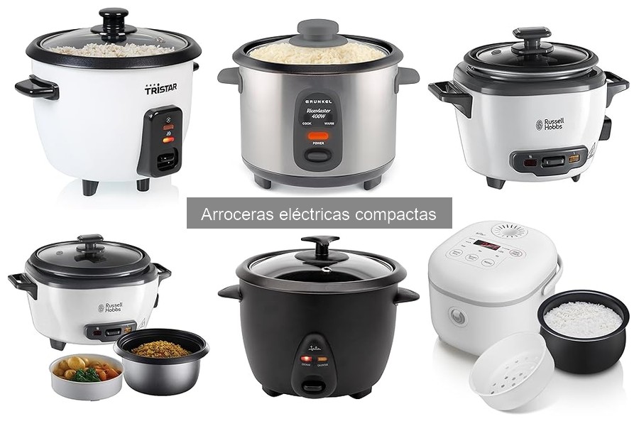 Alternativas a las Arroceras Eléctricas Compactas