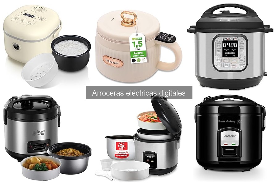 Alternativas a las Arroceras Eléctricas Digitales para Cocinar Arroz