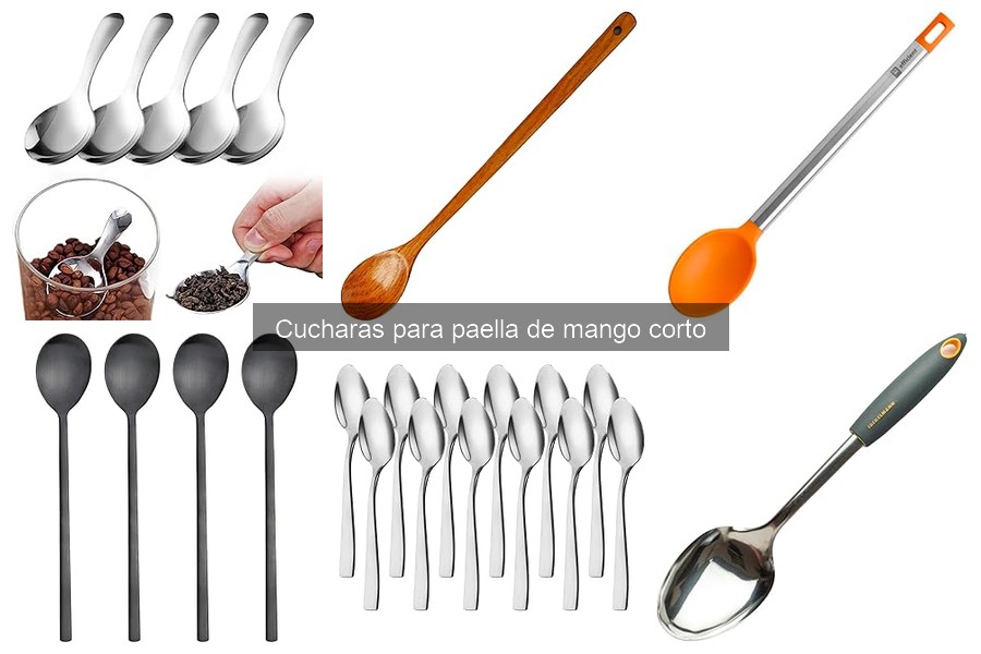 Alternativas a las cucharas para paella de mango corto