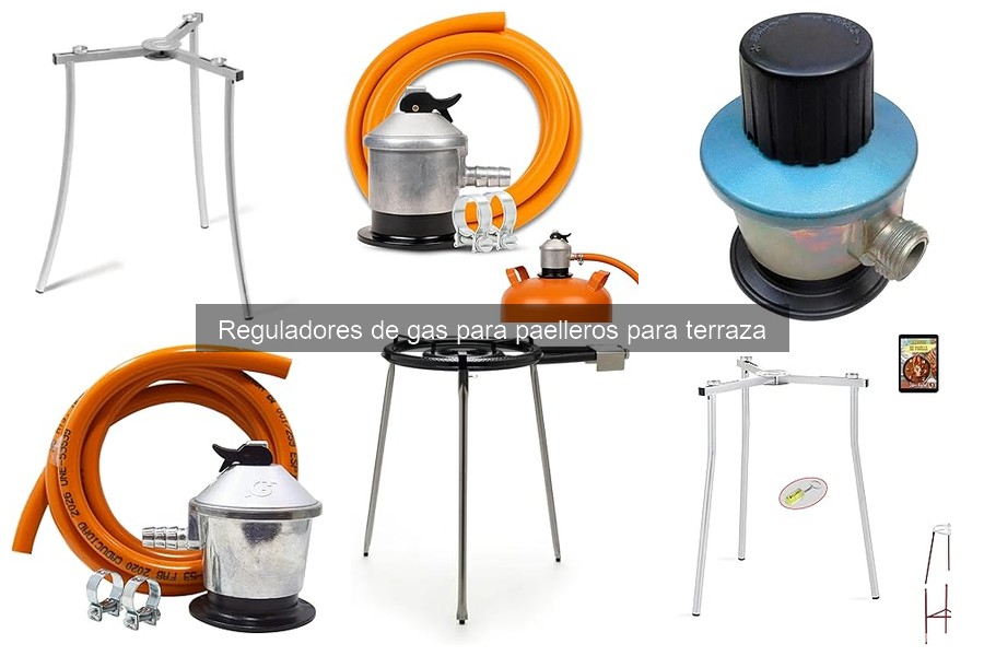 Alternativas a los Reguladores de Gas para Cocinar al Aire Libre