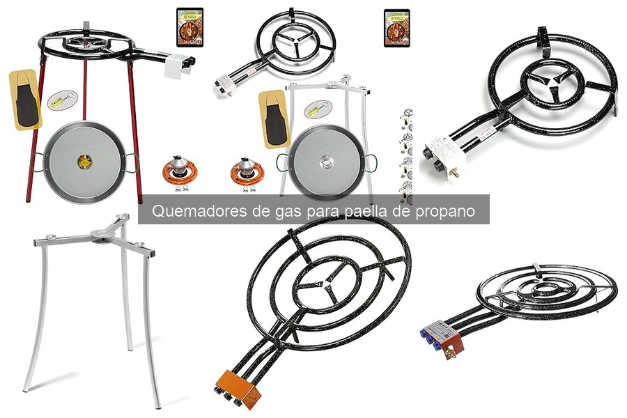 Alternativas a quemadores de gas para paellas de propano