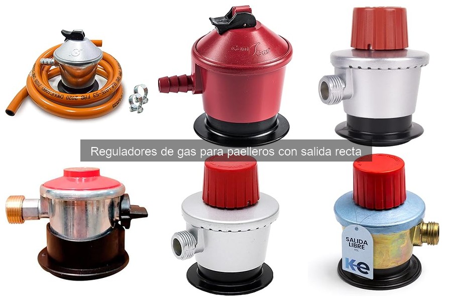 Alternativas a reguladores de gas para paelleros: ¡Descúbrelas!