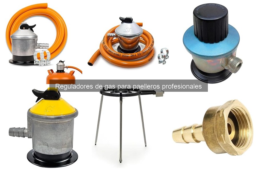 Alternativas a reguladores de gas para paelleros y cocinas