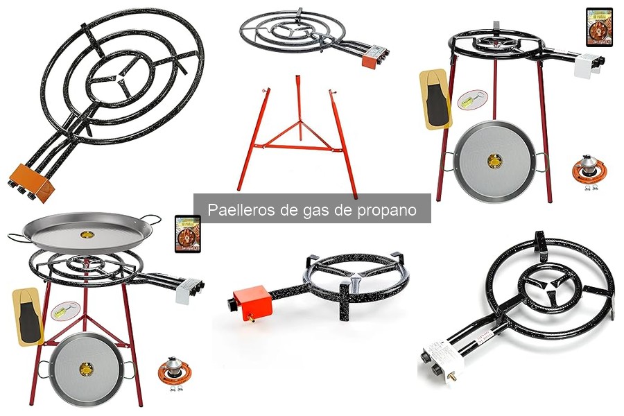 Alternativas al paellero de gas de propano: ¿cuál elegir?