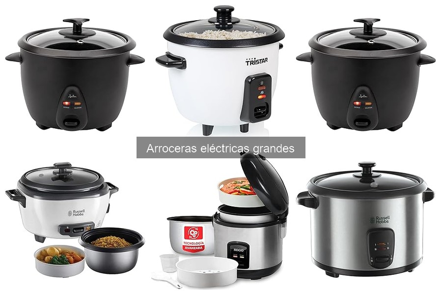 Arroceras eléctricas grandes: ¿Sirven para otros cereales?