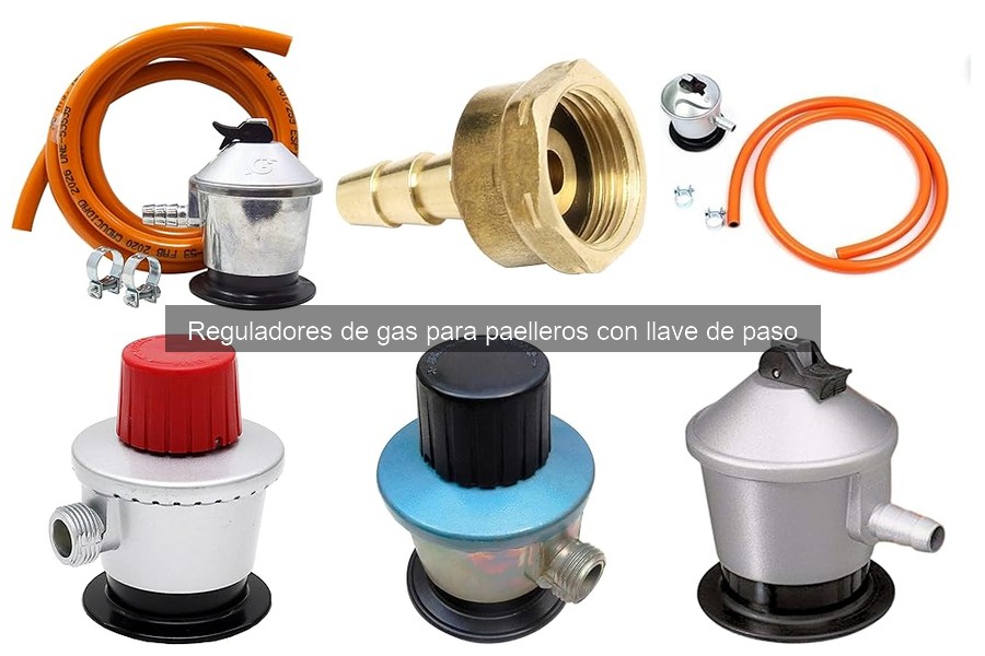 Cómo elegir el mejor regulador de gas para paelleros