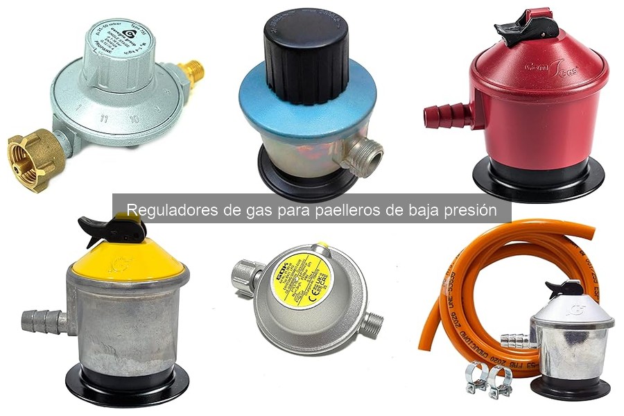 Cómo elegir el regulador de gas para paelleros adecuados