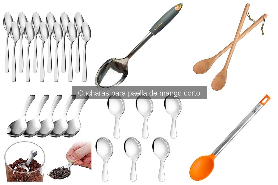 Comparativa: Cucharas para Paella de Mango Corto vs. Largos