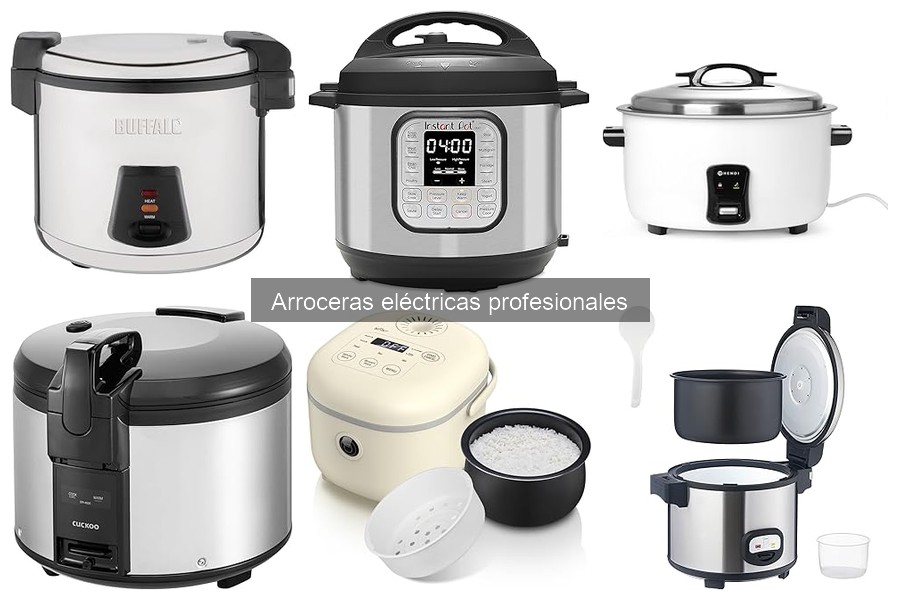 Comparativa de precios de arroceras eléctricas profesionales