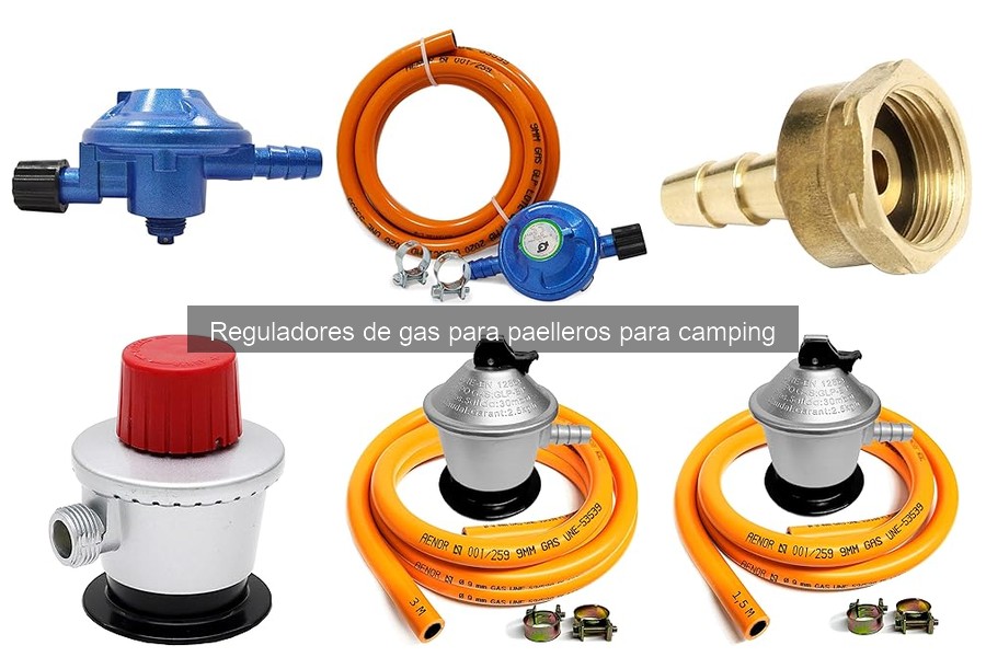 Comparativa de precios de reguladores de gas para paelleros