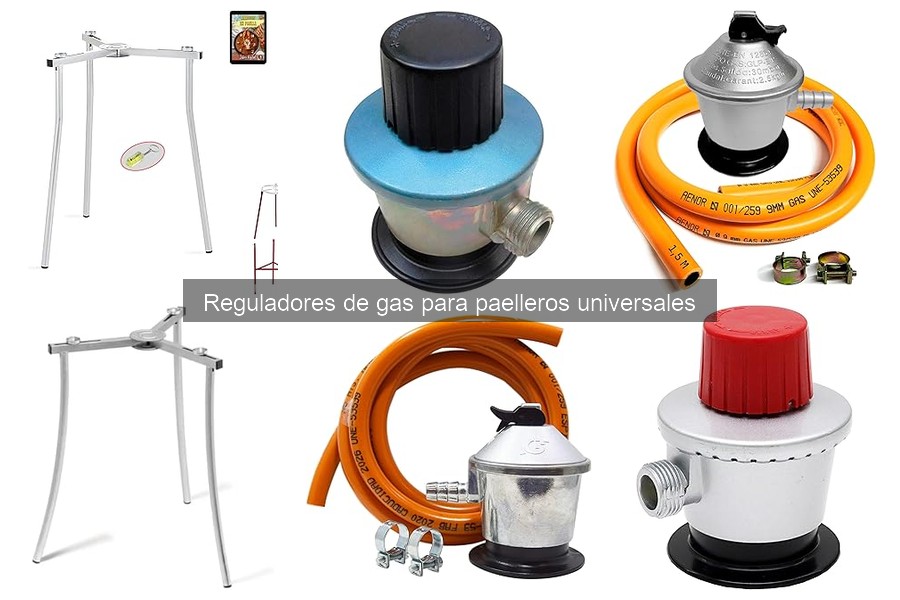 ** Comparativa de Reguladores de Gas: Económicos vs. Alta Gama