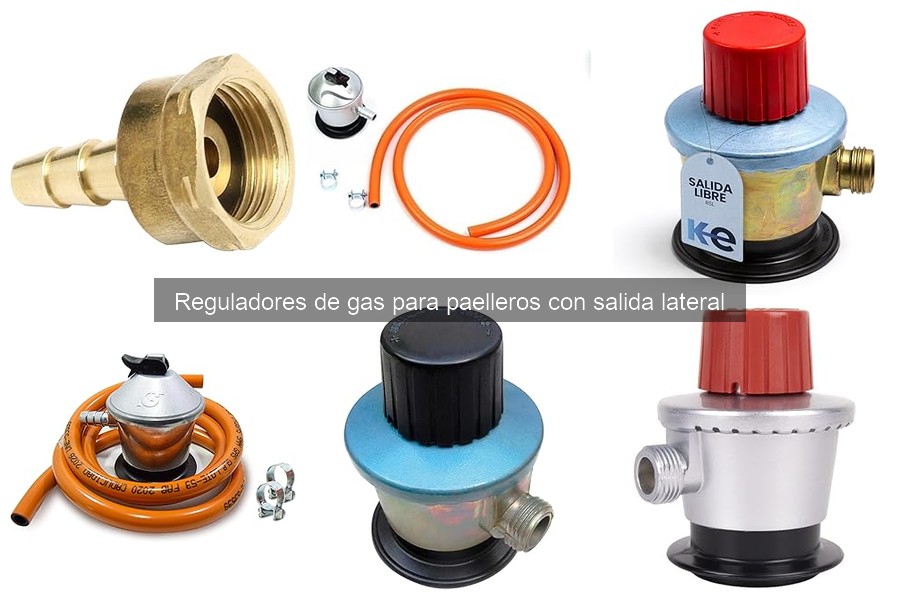 Comparativa de Reguladores de Gas para Paelleros con Salida Lateral