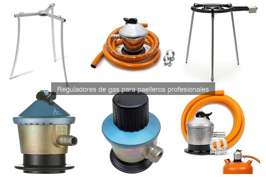 Comparativa de Reguladores de Gas para Paelleros Profesionales