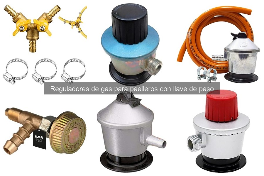 Comparativa de Reguladores de Gas para Paelleros y Cocinas
