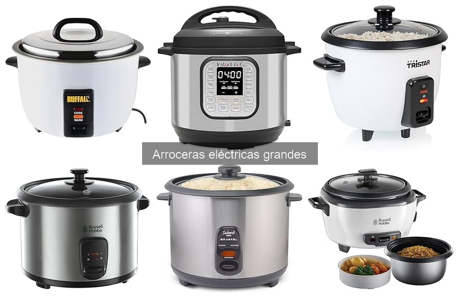 Comparativa entre Arroceras Eléctricas Grandes y de Gas