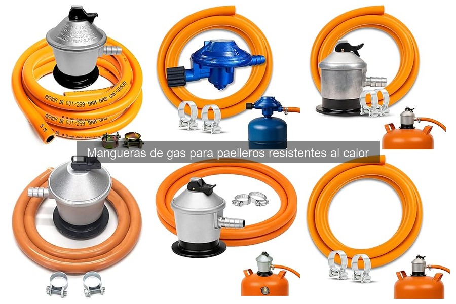 Consejos para el Mantenimiento de Mangueras de Gas para Paelleros