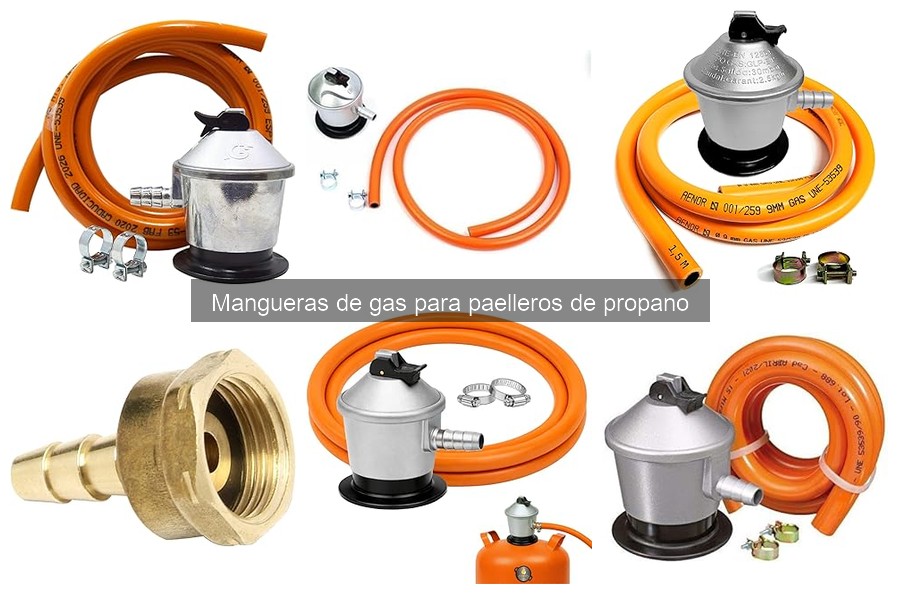 ¿Cuándo reemplazar la manguera de gas del paellero?