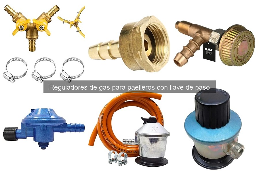 Cuándo reemplazar un regulador de gas para paellero