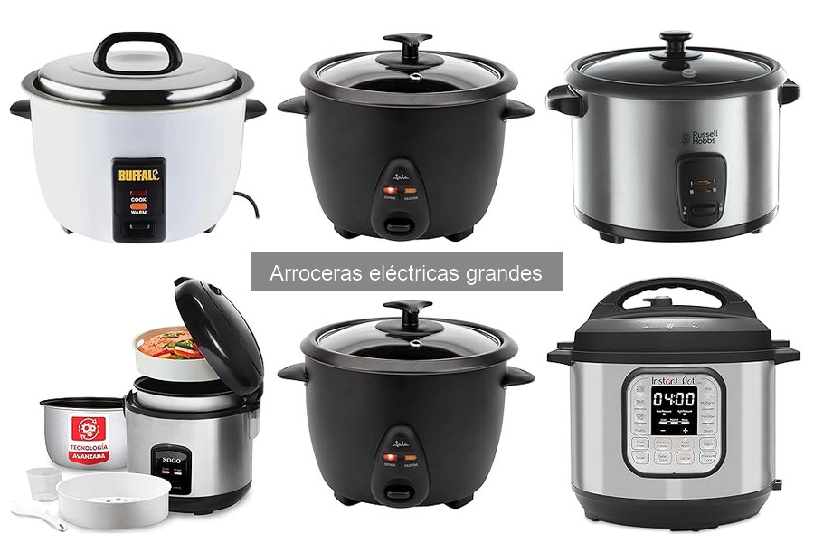 Dónde comprar arroceras eléctricas grandes a buen precio