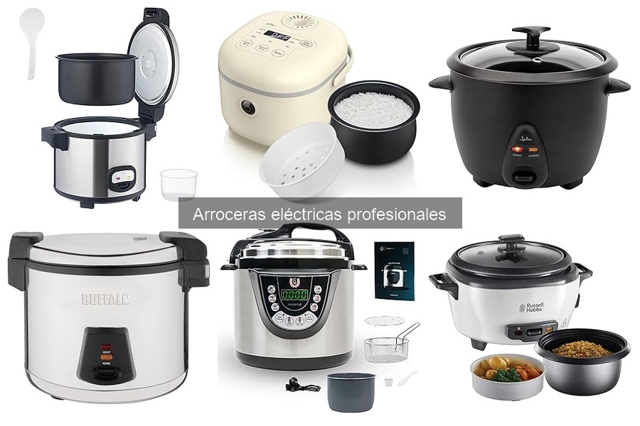 Dónde comprar arroceras eléctricas profesionales en oferta