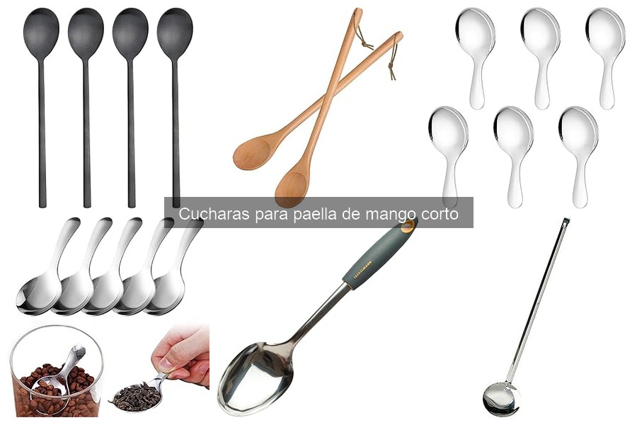 Dónde comprar cucharas para paella de mango corto