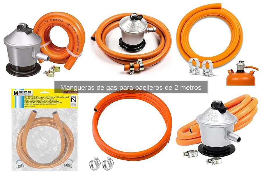 Factores Clave para Mangueras de Gas de 2 Metros en Exteriores