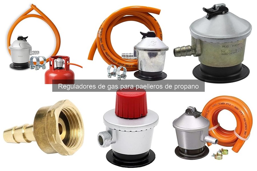 Guía para Elegir un Regulador de Gas para tu Paellero