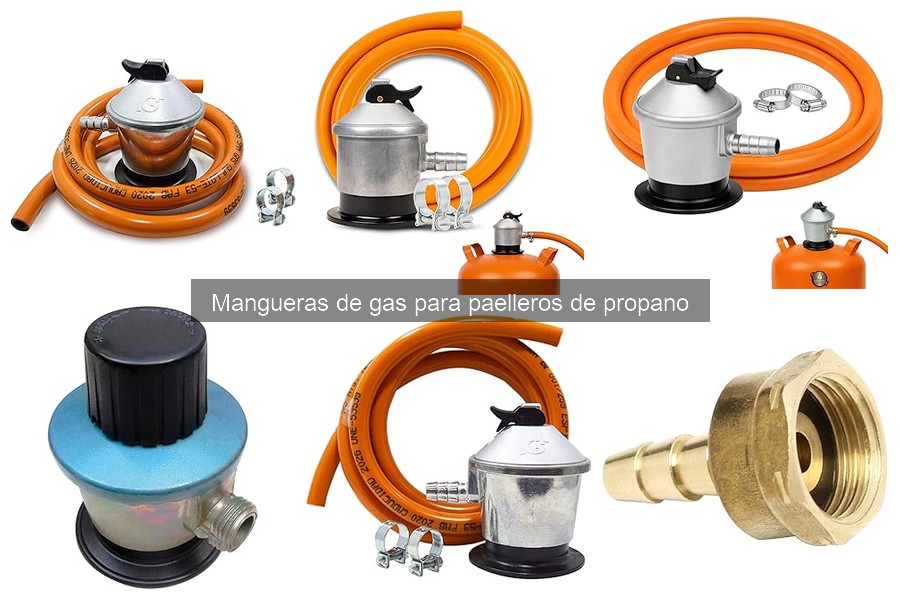 Mantenimiento de Mangueras de Gas para Paelleros de Propano