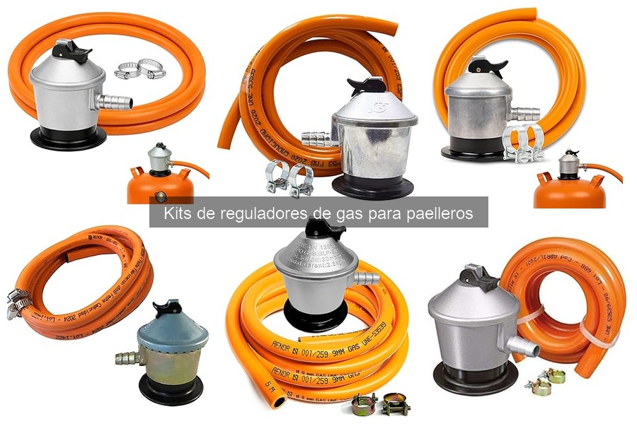 Mantenimiento de reguladores de gas para paelleros: Guía práctica