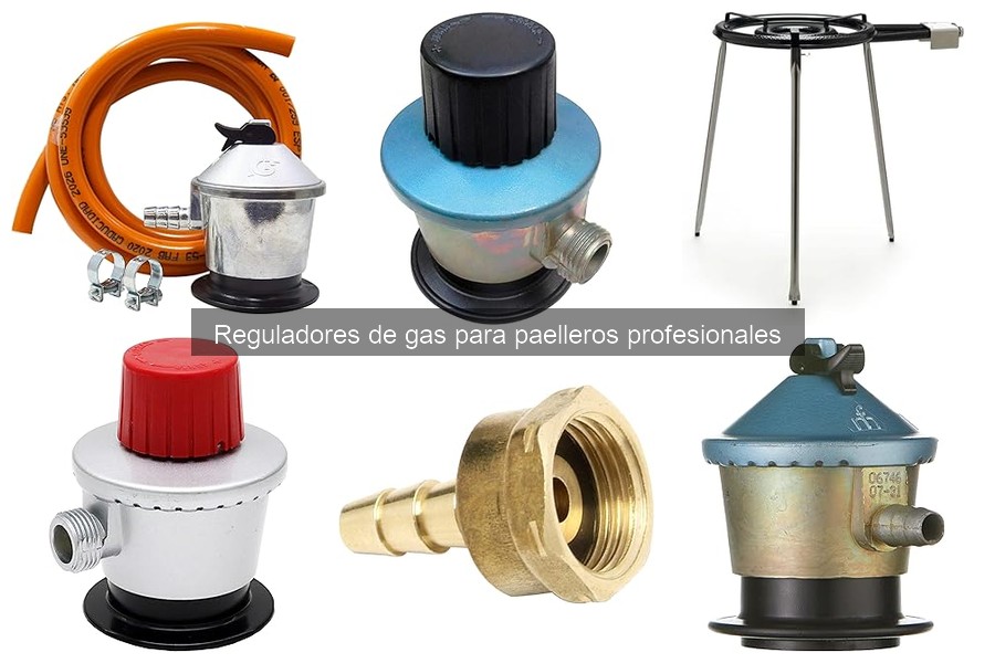Mantenimiento de Reguladores de Gas para Paelleros Profesionales