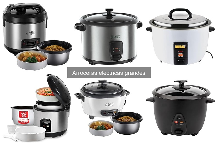 Mantenimiento y limpieza de arroceras eléctricas grandes