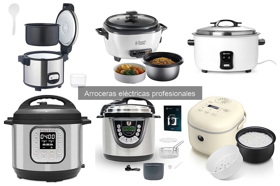 Mantenimiento y limpieza de arroceras eléctricas profesionales