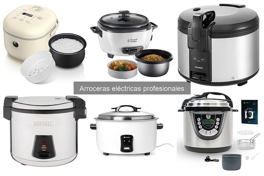 Mejores arroceras eléctricas profesionales para cocina tradicional