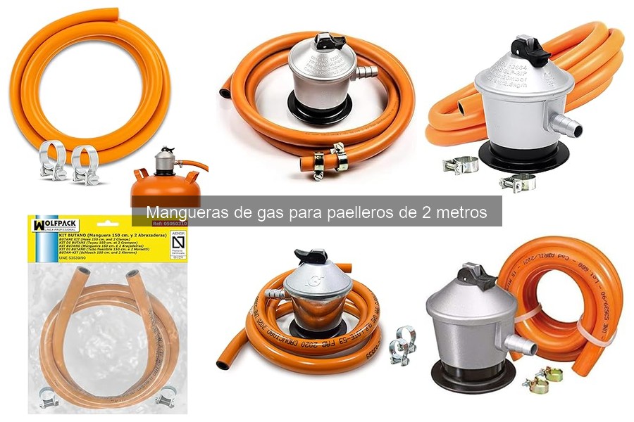 Mejores lugares para comprar mangueras de gas de 2 metros