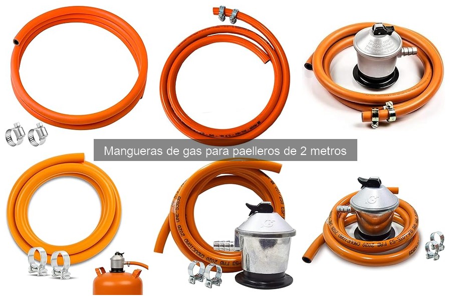 Mejores mangueras de gas de 2 metros para paelleros