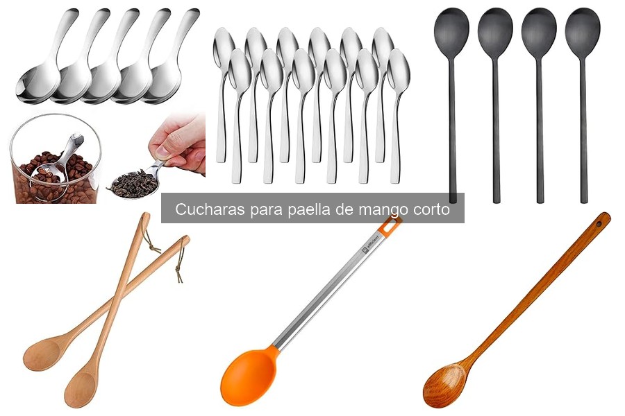 Opiniones de expertos sobre cucharas para paella de mango corto