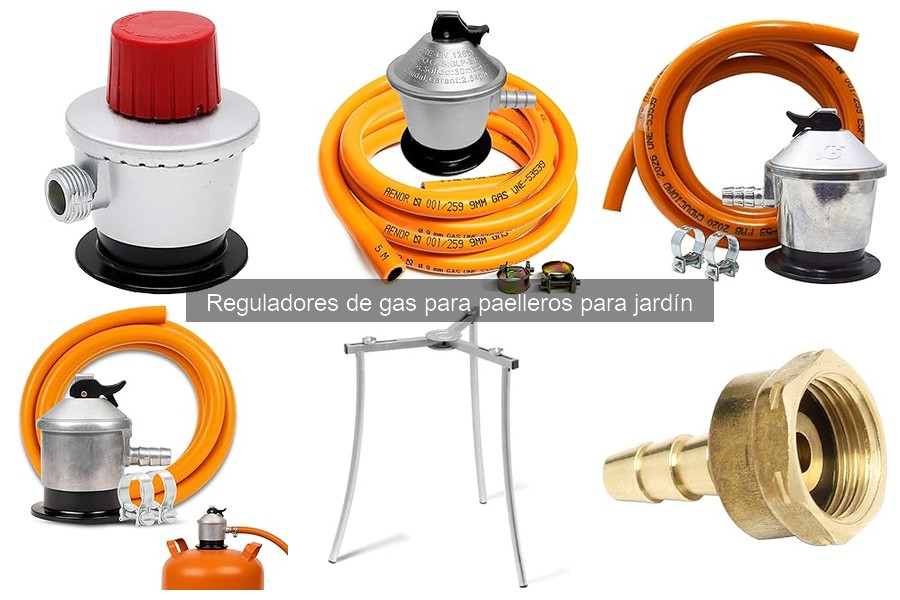 Precio promedio de reguladores de gas para paelleros