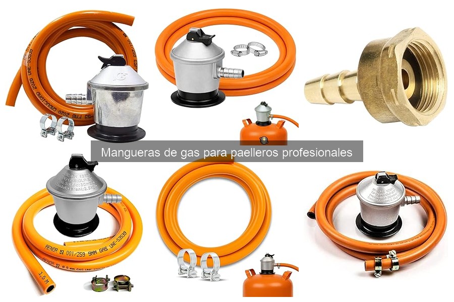 Problemas comunes con mangueras de gas para paelleros