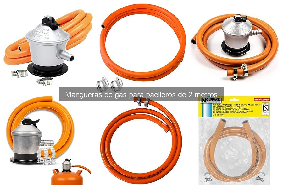 Problemas Comunes con Mangueras de Gas y Soluciones