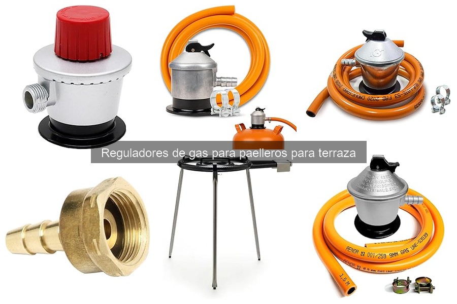 Problemas comunes con reguladores de gas en paelleros