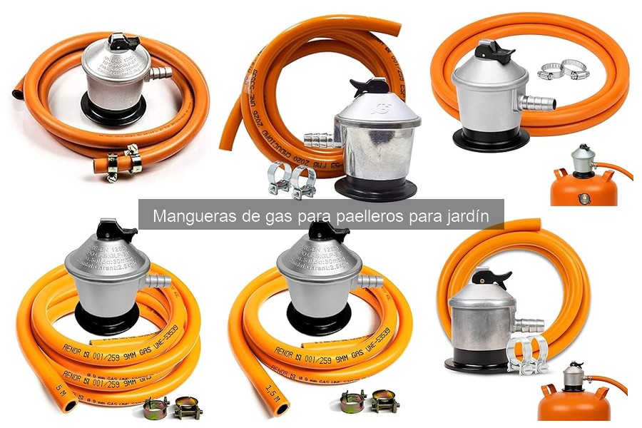 Problemas frecuentes con mangueras de gas para paelleros