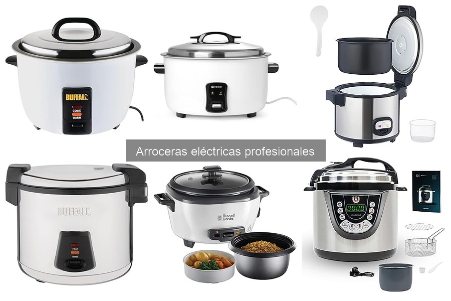 ¿Qué es una arrocera eléctrica profesional? Ventajas y características