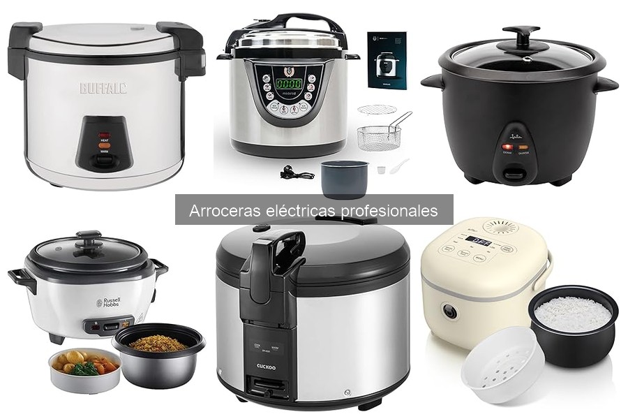 Recetas deliciosas para arroceras eléctricas profesionales
