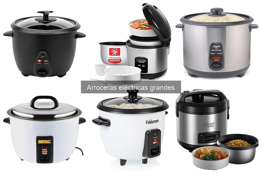 Recetas deliciosas para preparar en arroceras eléctricas grandes