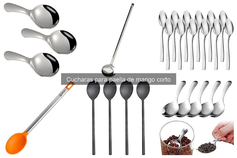 Reseñas de cucharas para paella de mango corto: Opiniones