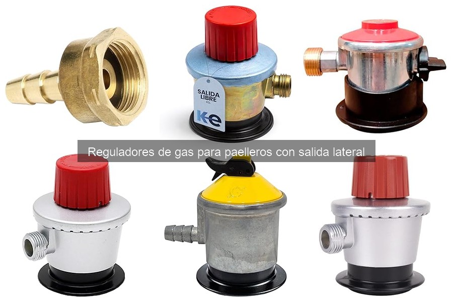 Seguridad en Reguladores de Gas para Paelleros: Lo Que Debes Saber